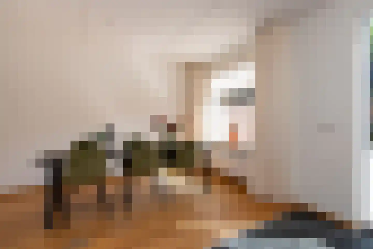Alpenlaan 143 Tilburg thumbnail 11