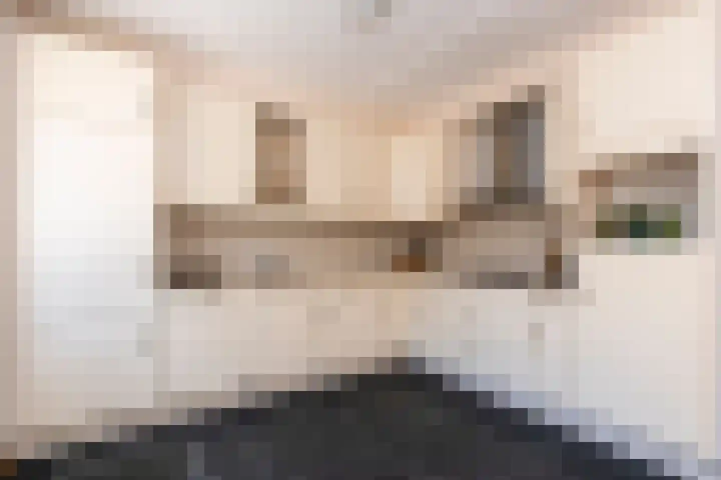 Alpenlaan 143 Tilburg thumbnail 12