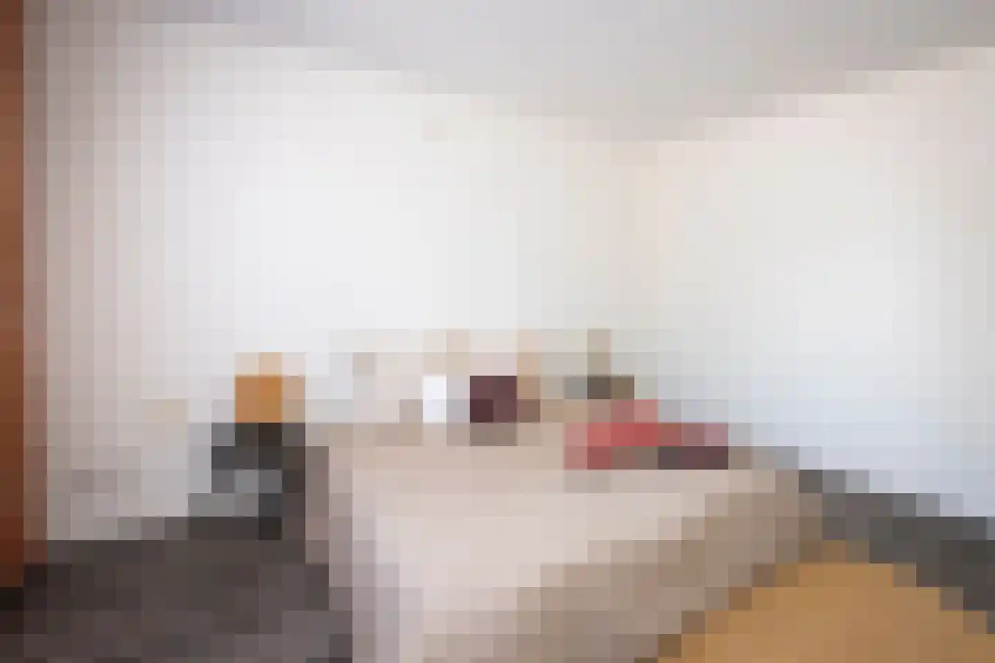 Alpenlaan 143 Tilburg thumbnail 18