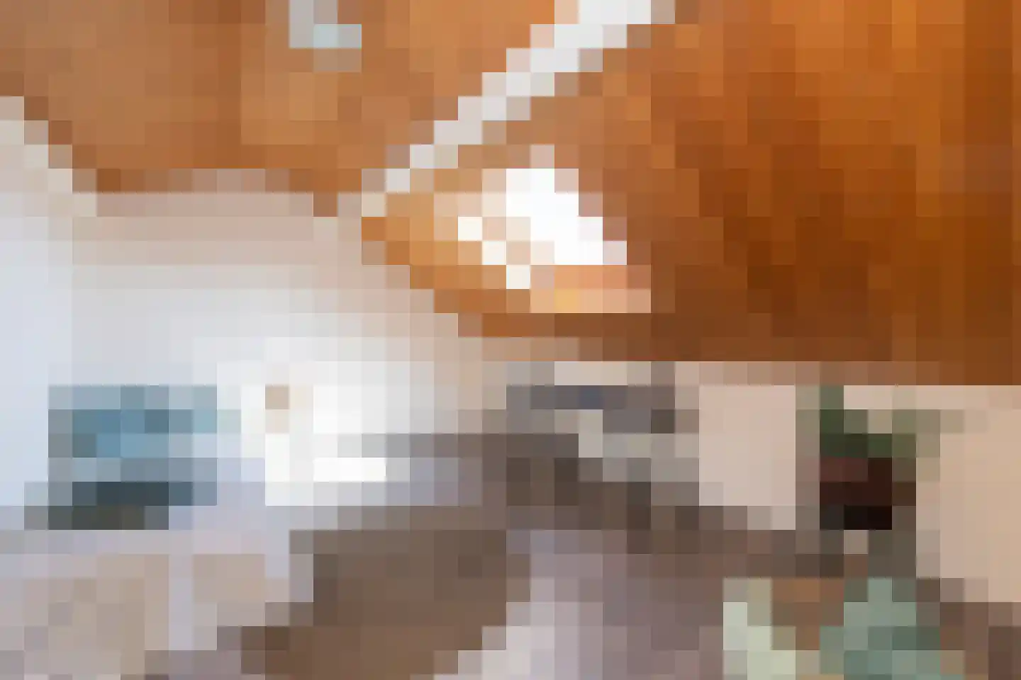 Alpenlaan 143 Tilburg thumbnail 24