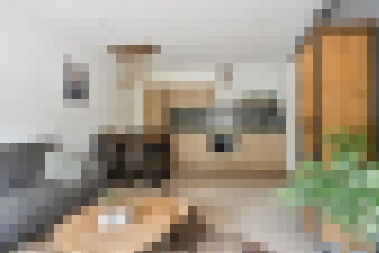 Alpenlaan 146 Tilburg thumbnail 18