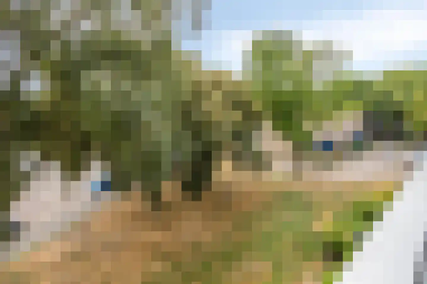 Alpenlaan 146 Tilburg thumbnail 36