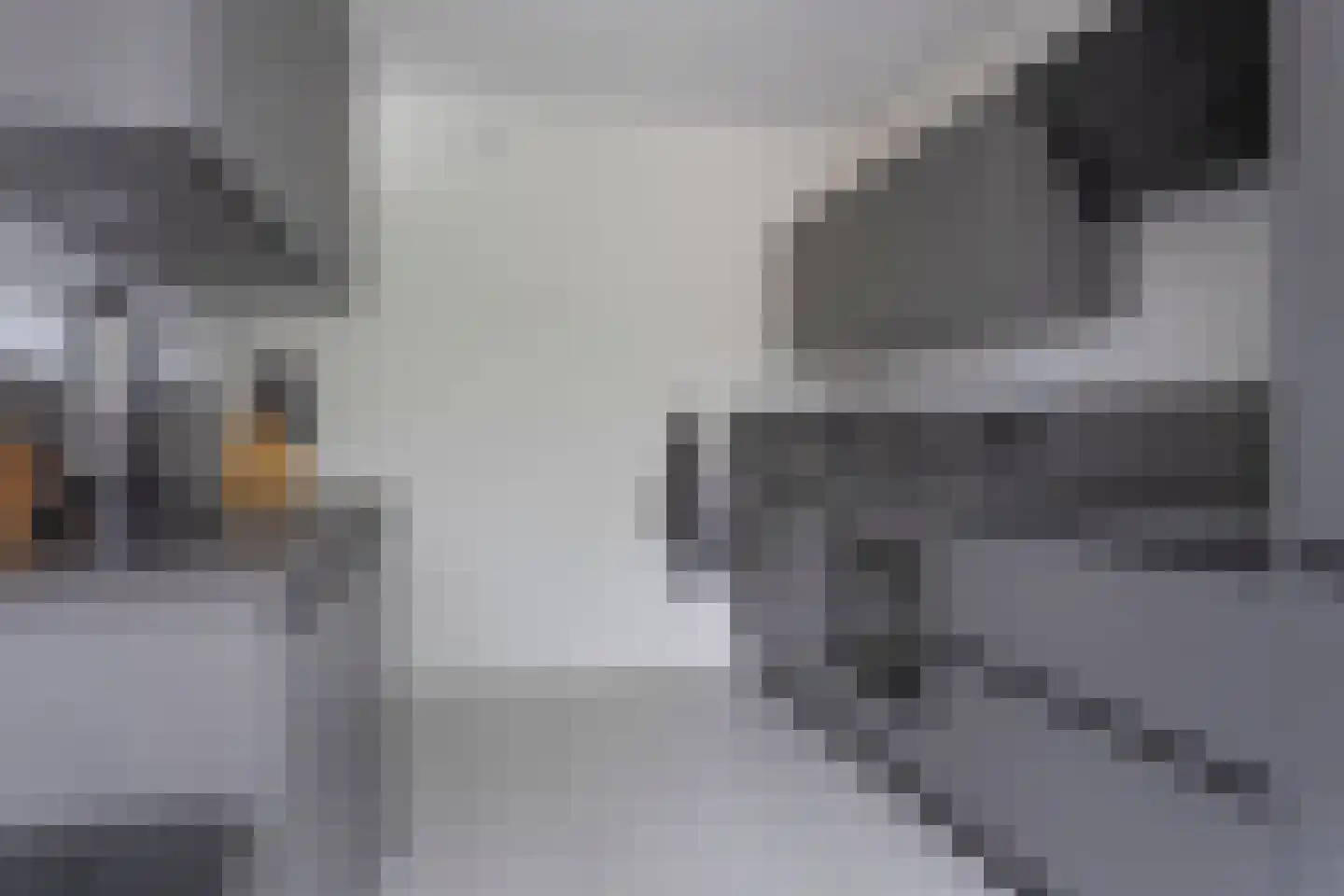 Alpenlaan 164 Tilburg thumbnail 16