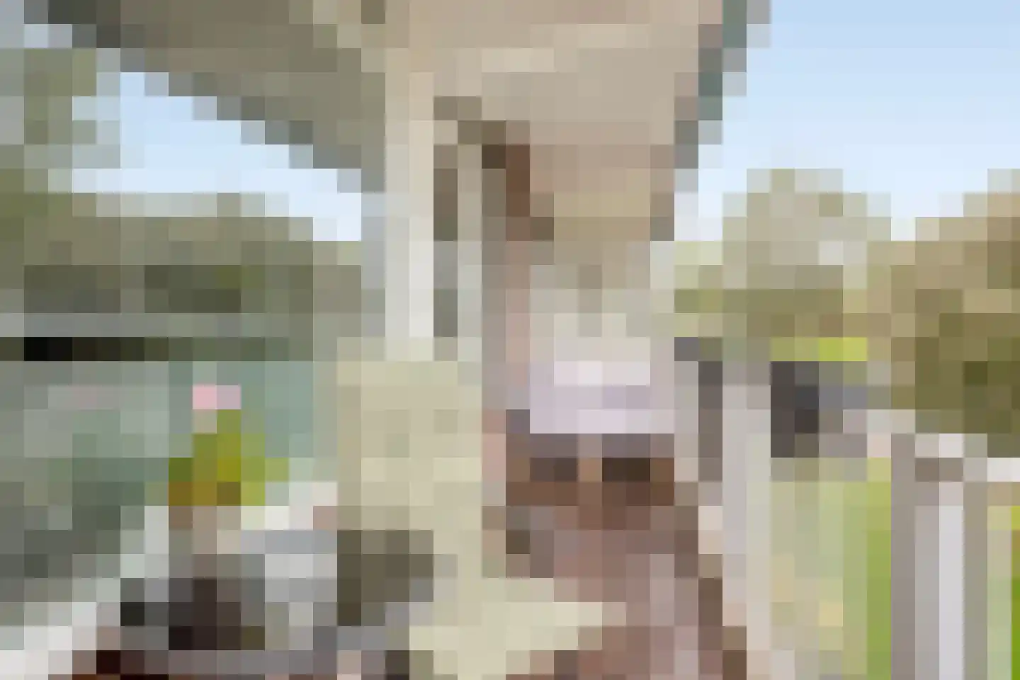Alpenlaan 164 Tilburg thumbnail 18