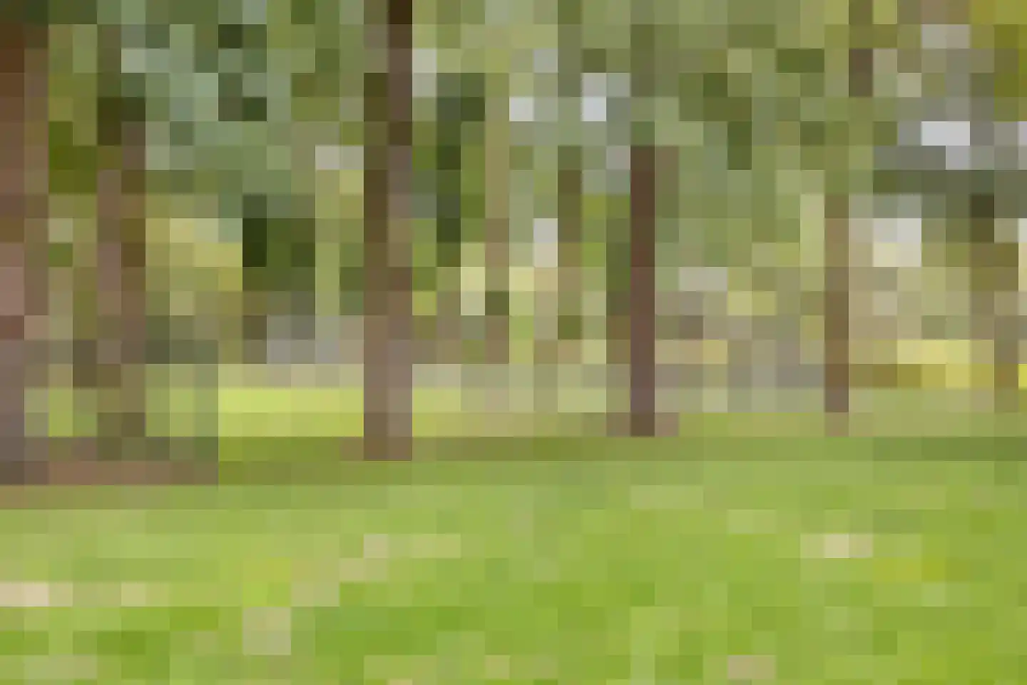 Alpenlaan 164 Tilburg thumbnail 24