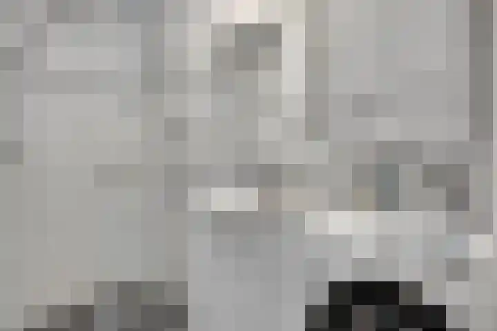 Alpenlaan 176 Tilburg thumbnail 27