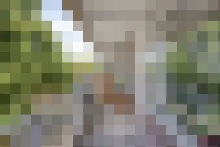 Alpenlaan 176 Tilburg thumbnail 31
