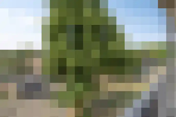 Alpenlaan 176 Tilburg thumbnail 33