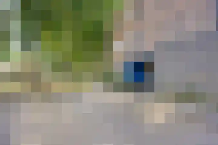 Alpenlaan 176 Tilburg thumbnail 36