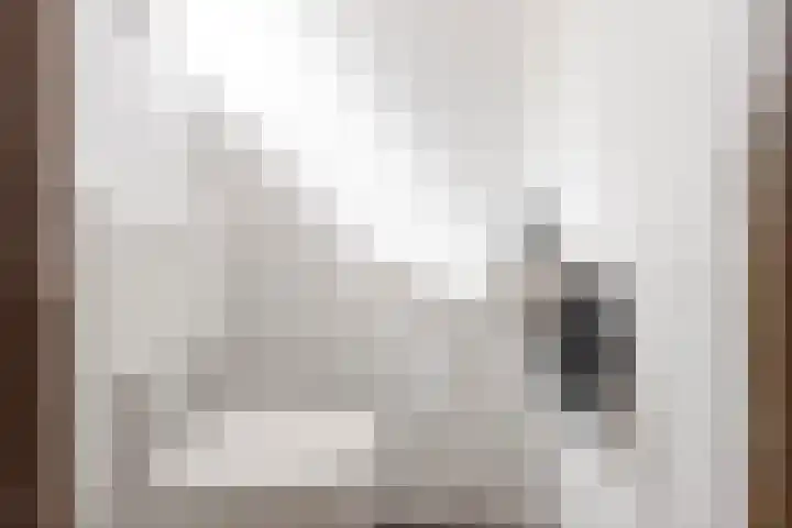 Alpenlaan 187 Tilburg thumbnail 12