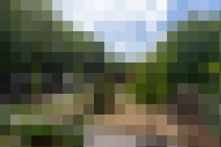 Alpenlaan 187 Tilburg thumbnail 15
