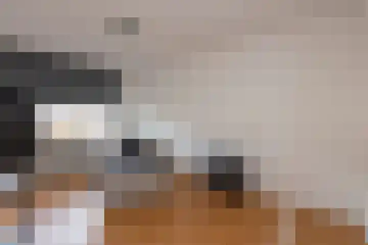 Alpenlaan 187 Tilburg thumbnail 16