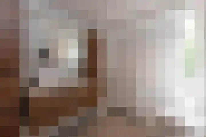 Alpenlaan 187 Tilburg thumbnail 19