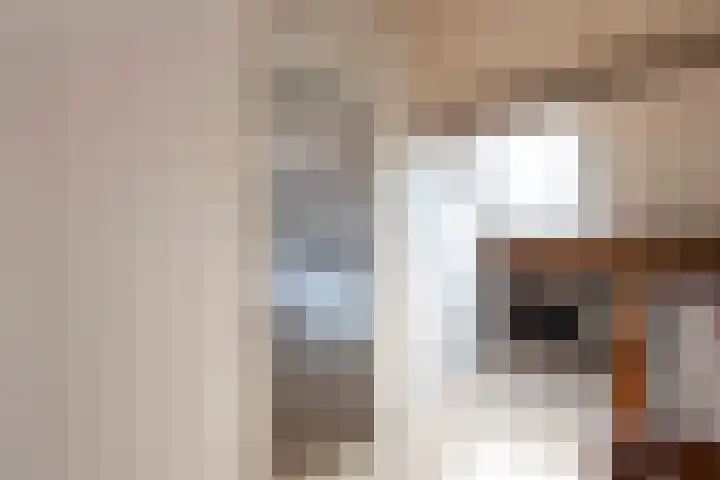 Alpenlaan 187 Tilburg thumbnail 23