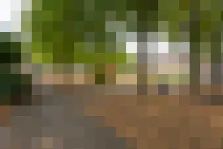 Alpenlaan 187 Tilburg thumbnail 32