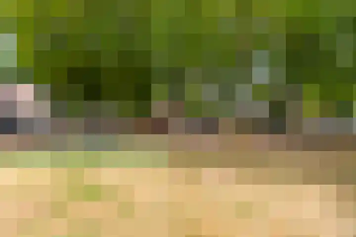 Alpenlaan 187 Tilburg thumbnail 33
