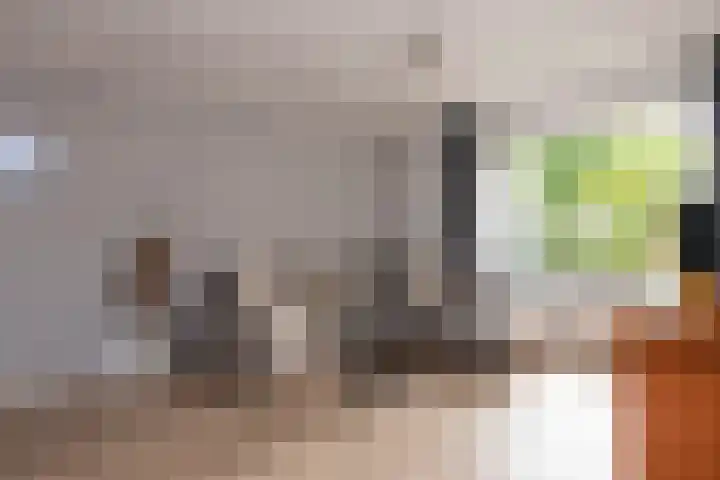 Alpenlaan 187 Tilburg thumbnail 4