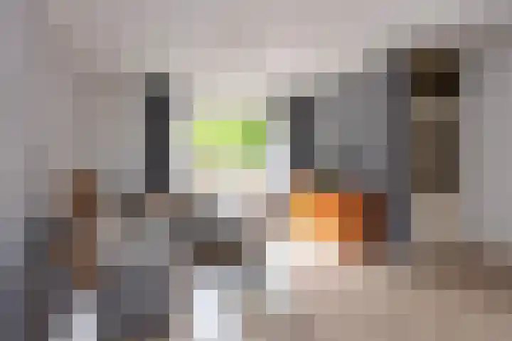 Alpenlaan 187 Tilburg thumbnail 5