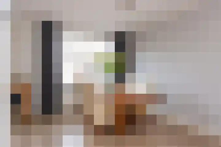 Alpenlaan 187 Tilburg thumbnail 8