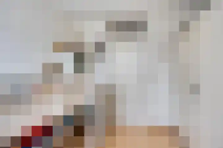 Alpenlaan 215 Tilburg thumbnail 15
