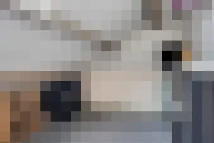 Alpenlaan 215 Tilburg thumbnail 23