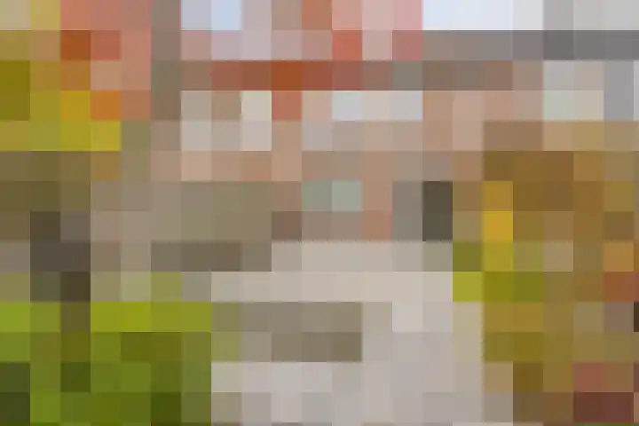 Alpenlaan 215 Tilburg thumbnail 25