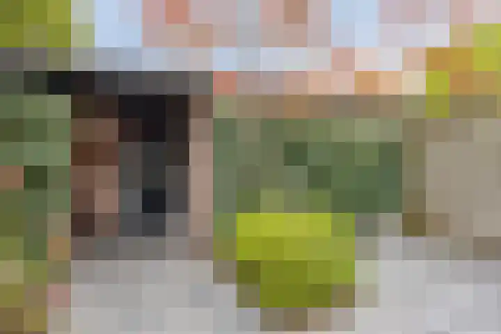 Alpenlaan 215 Tilburg thumbnail 27
