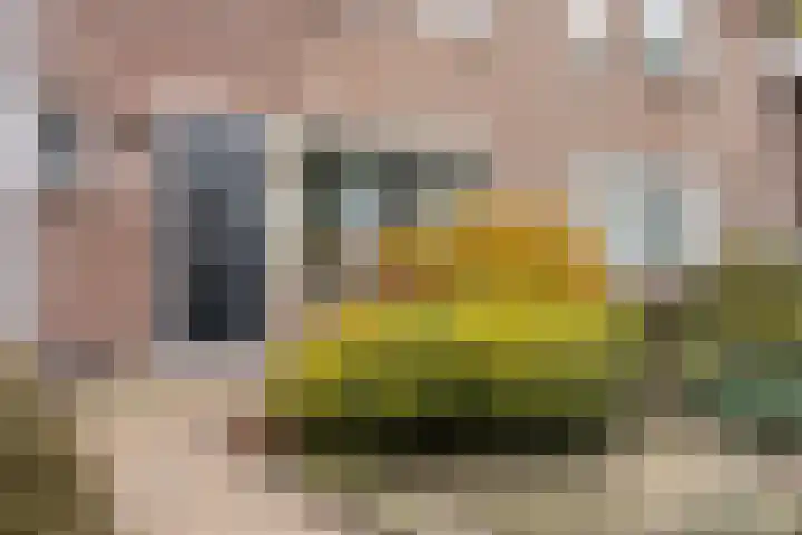Alpenlaan 215 Tilburg thumbnail 29