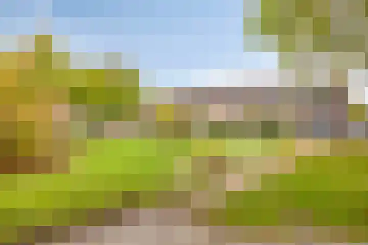 Alpenlaan 215 Tilburg thumbnail 31