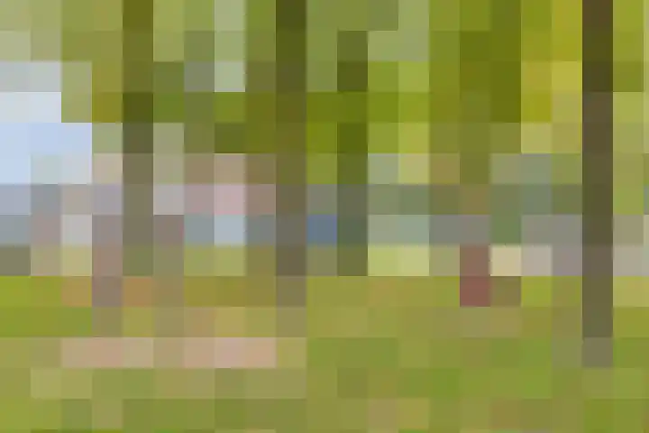 Alpenlaan 215 Tilburg thumbnail 32