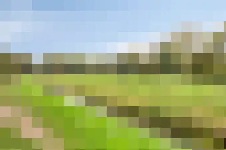 Alpenlaan 215 Tilburg thumbnail 33