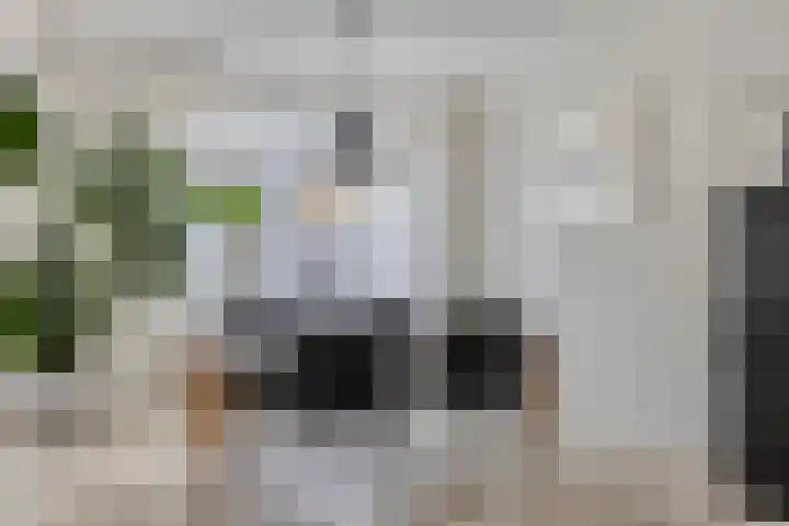 Alpenlaan 215 Tilburg thumbnail 4