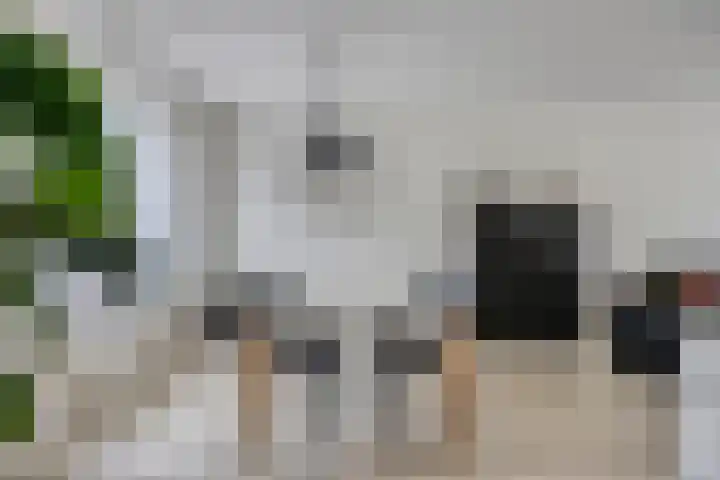 Alpenlaan 215 Tilburg thumbnail 5