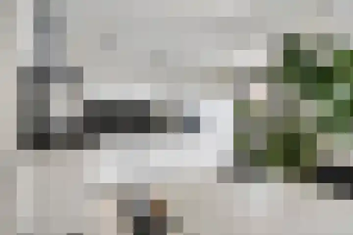 Alpenlaan 215 Tilburg thumbnail 6