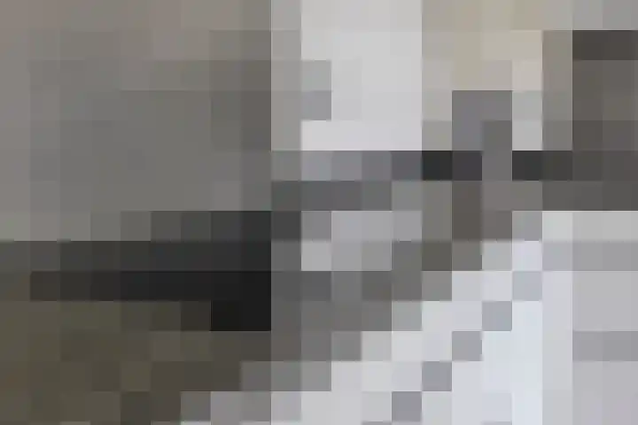 Alpenlaan 215 Tilburg thumbnail 7