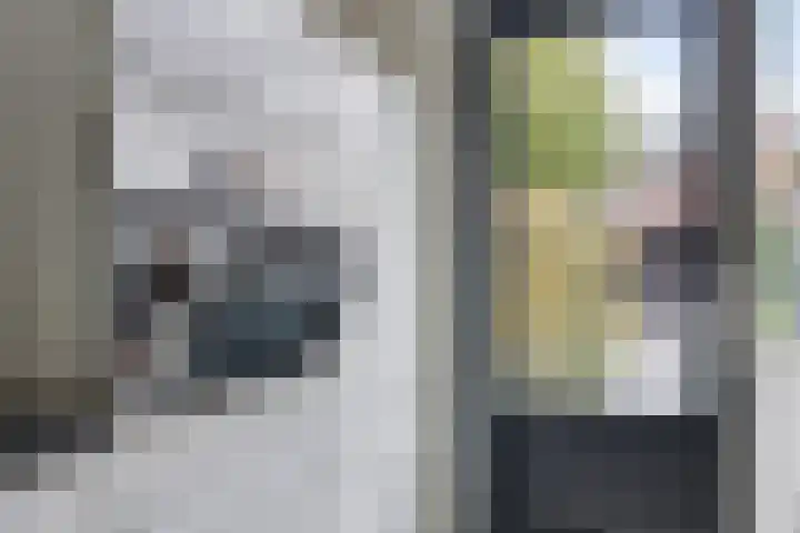 Alpenlaan 215 Tilburg thumbnail 9