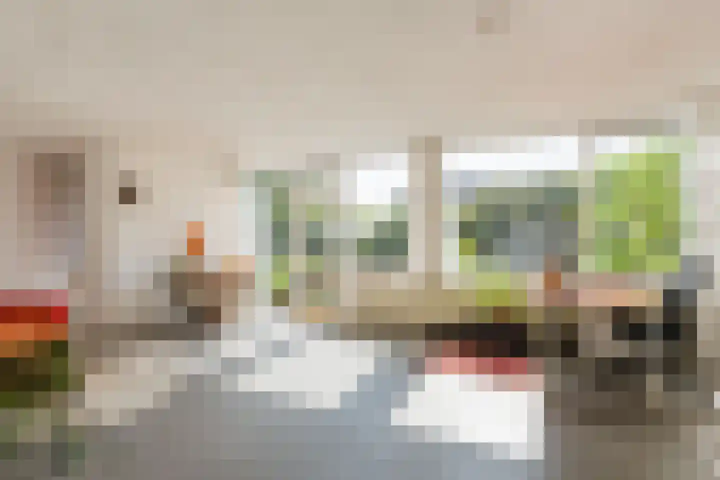 Alpenroos 10 Leiden thumbnail 21