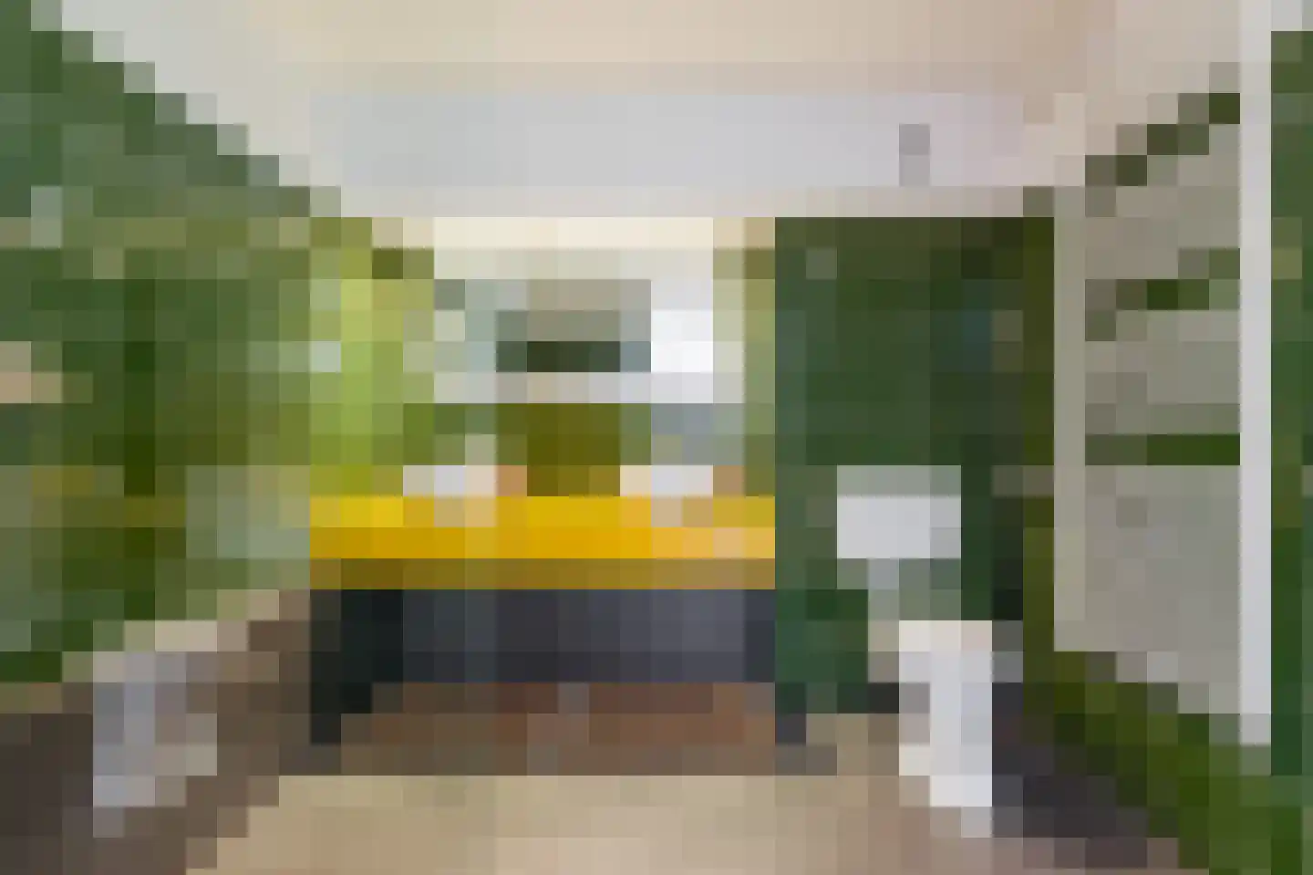 Alpenroos 10 Leiden thumbnail 31