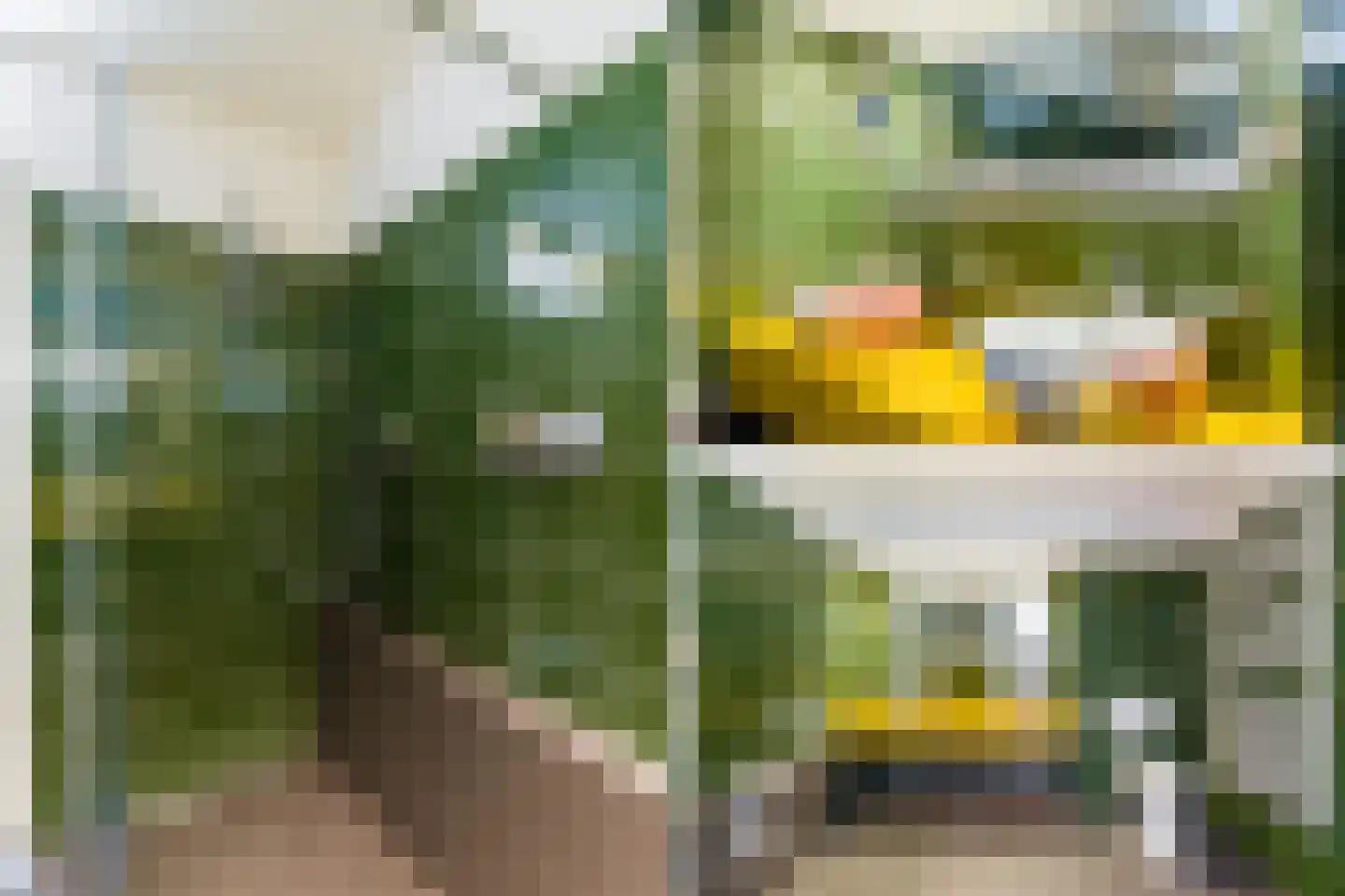 Alpenroos 10 Leiden thumbnail 32
