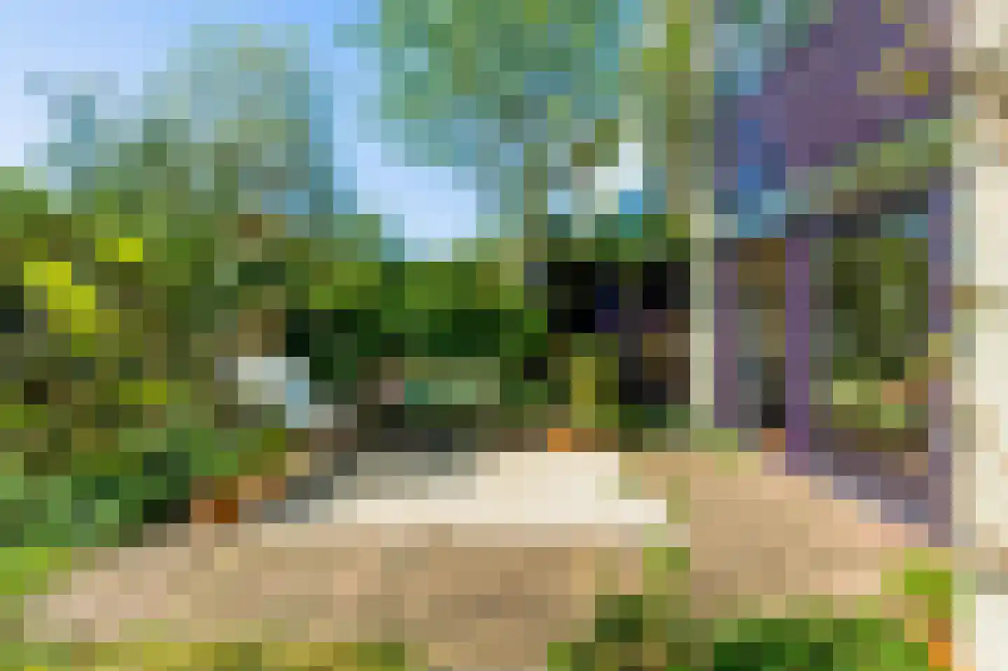 Alpenroos 10 Leiden thumbnail 46