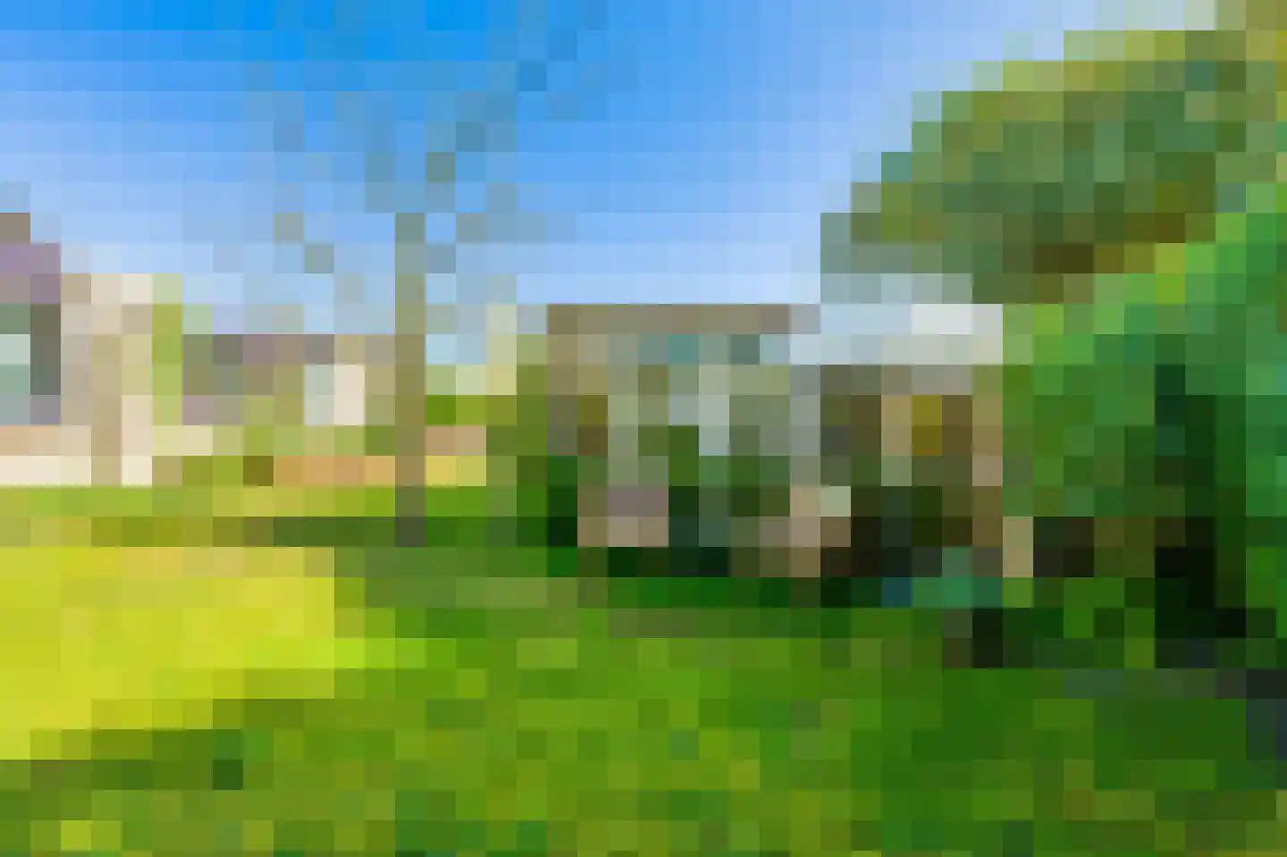 Alpenroos 10 Leiden thumbnail 48