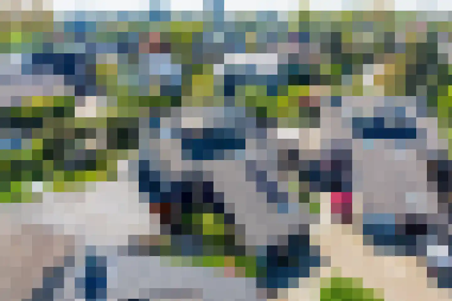 Alpenroos 10 Leiden thumbnail 56