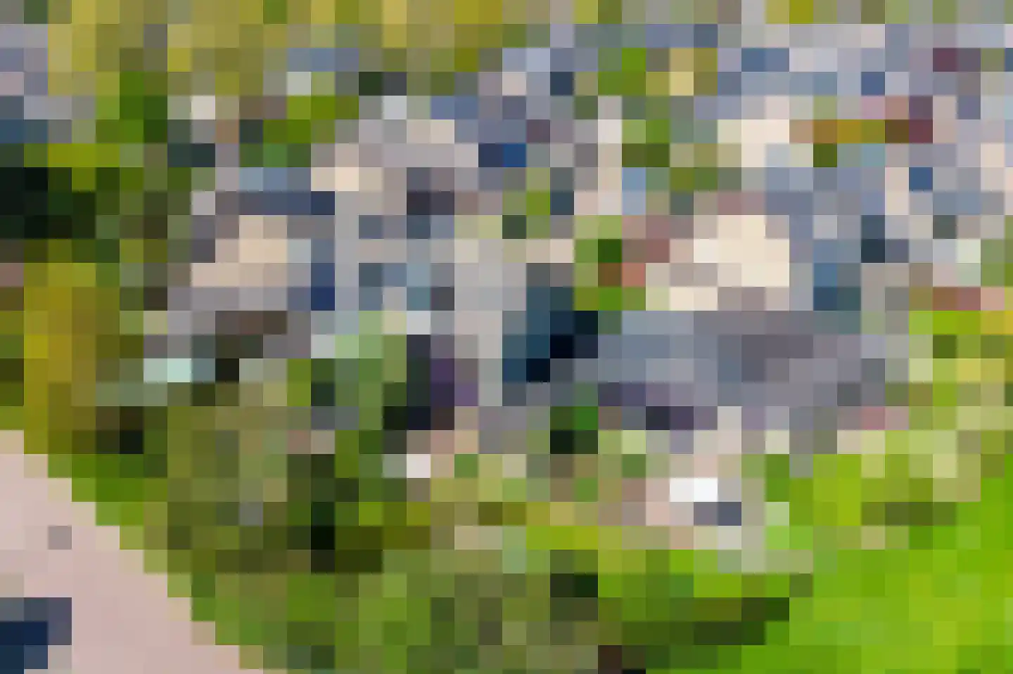 Alpenroos 10 Leiden thumbnail 57