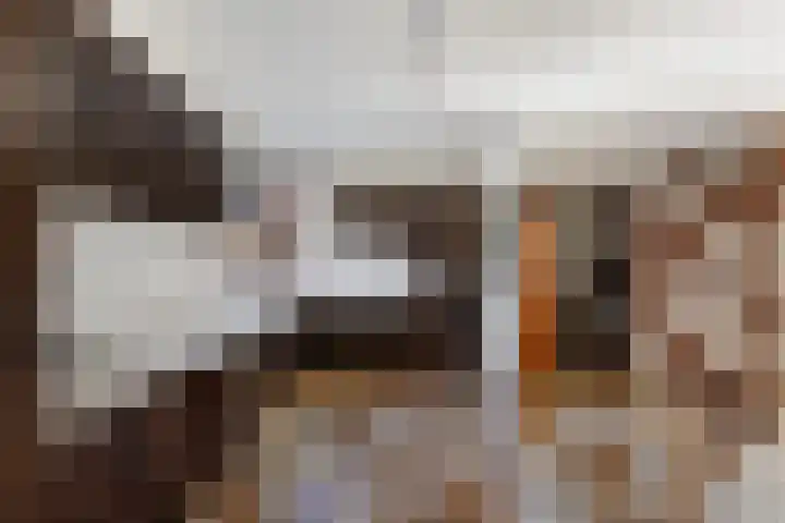 Alpenroos 6 Leiden thumbnail 11