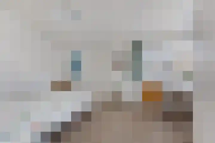 Alpenroos 6 Leiden thumbnail 15
