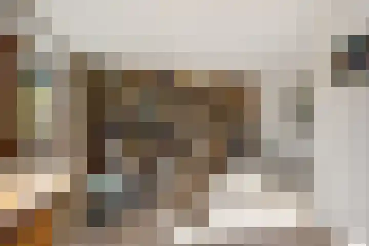 Alpenroos 6 Leiden thumbnail 18
