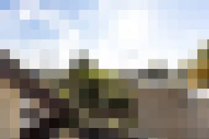 Alpenroos 6 Leiden thumbnail 22