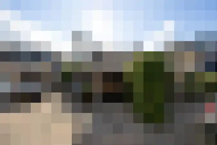 Alpenroos 6 Leiden thumbnail 26