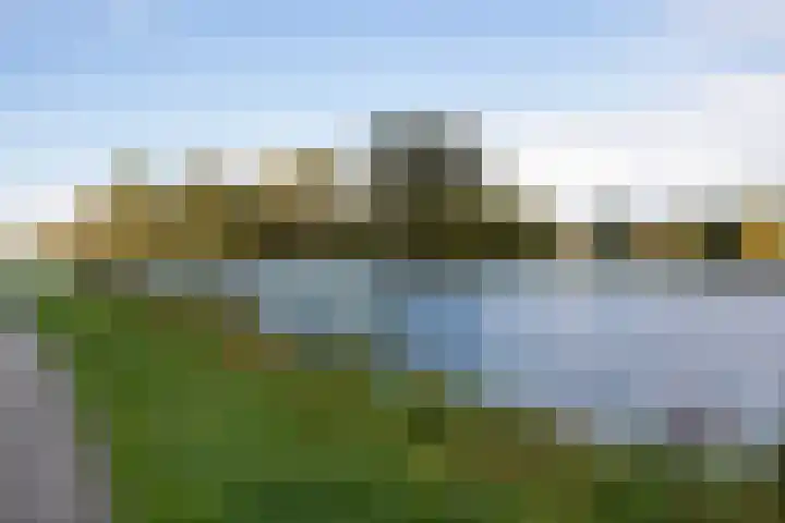 Alpenroos 6 Leiden thumbnail 27