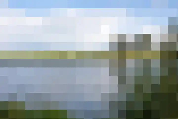 Alpenroos 6 Leiden thumbnail 28